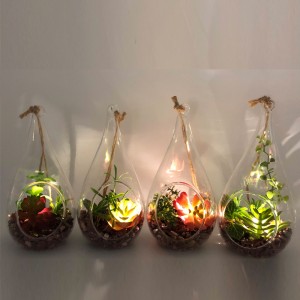 โต๊ะกระจก LED ตกแต่งพืชฉ่ำประดิษฐ์ด้วยลูกโลกแสดงแจกัน